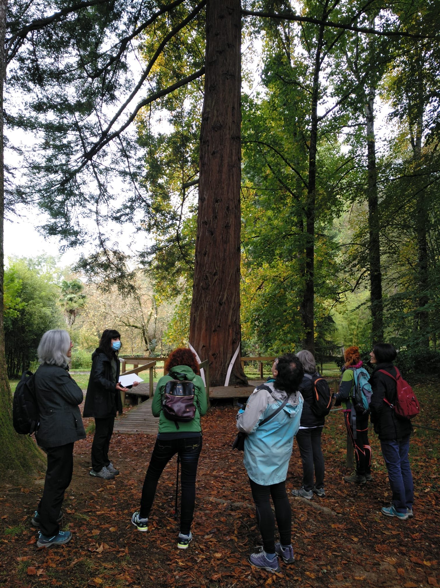 2021-10-23Bertiz barna paseoa