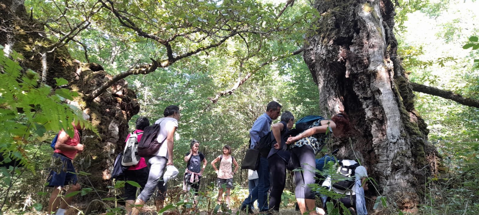 2022-09-04Haritz Zaharren ibilbidea, Etxarri Aranatz