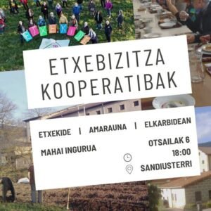 2025-02-06<br>Etxebizitza-proiektu kolektiboei buruzko mahai-ingurua